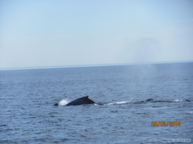 Деревенская Америка