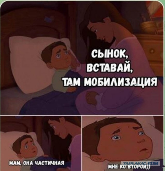 На злобу дня