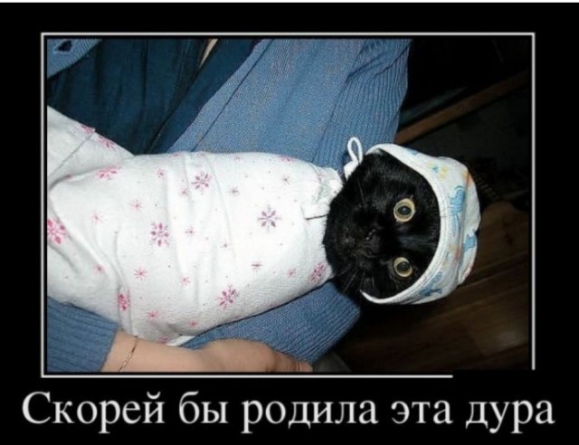 Вечерняя процедура перед сном