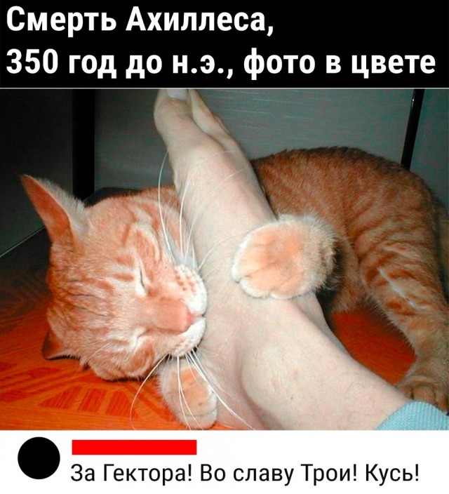 Так себе картинки 31.12.22
