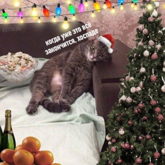Картинки и мемы, выходные продолжаются