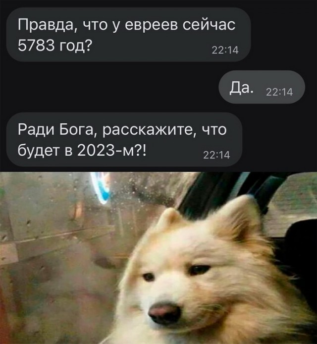 Картинки и мемы, выходные продолжаются