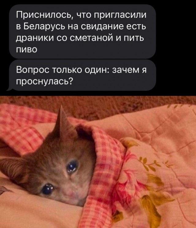 Немного картинок для настроения/постпраздничное