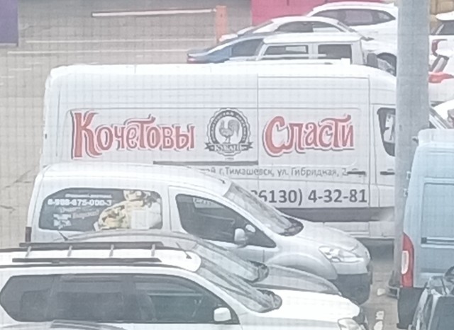 Смотрите, что увидел