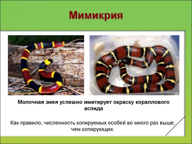 У 83-летней бабушки мошенники выманили деньги, потом вынудили продать квартиру и выгоняют на улицу