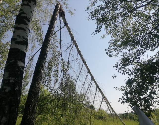 Третий день в лесу