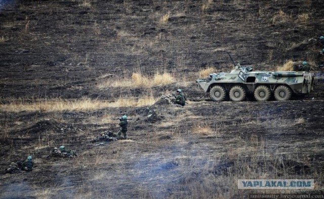 Морпехи ТОФ «дали жару»