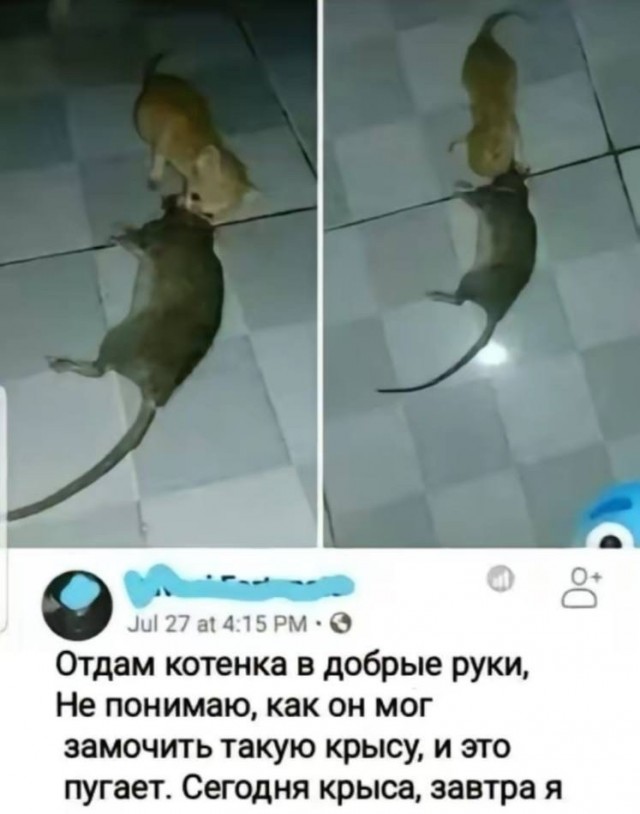 Мемы для самых умных