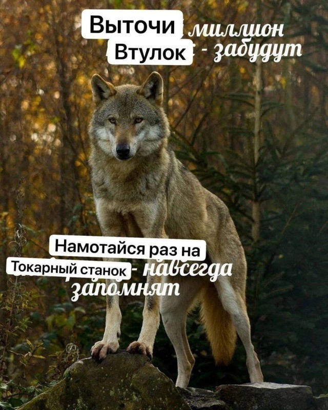 Народная меДИЧина 9010