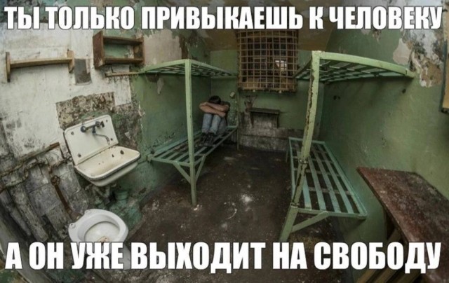 Кретинизмы из KV и KO 10-03-2024