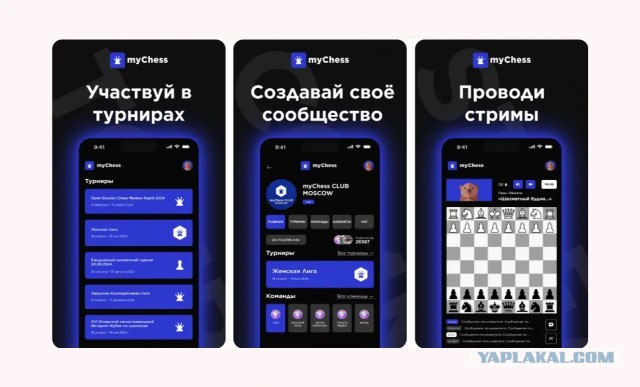 В РФ появилась онлайн-платформа myChess — аналог шахматного портала Chess.com