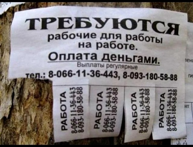 Более 60% россиян хотят работать 4 дня в неделю при сохранении прежней зарплаты