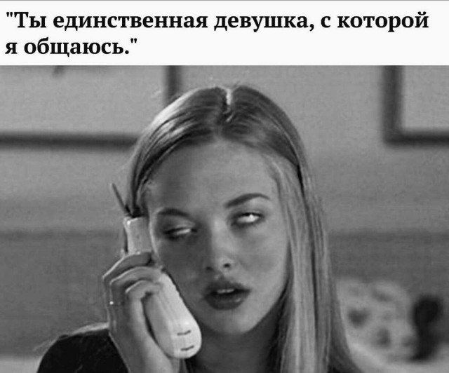 Весёлый полтишок 27.08.24