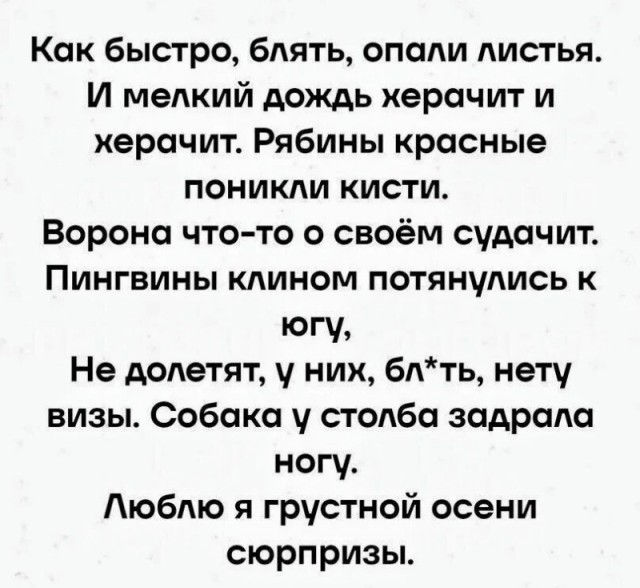 Так себе картинки 30.09.24