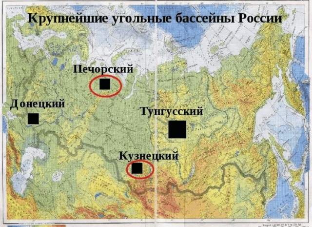 Вы серьезно верите, что километровый пласт угля создали древние растения?