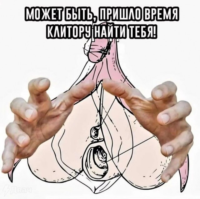 Ротилк