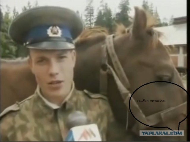 От настоящего мужика должно пахнуть…