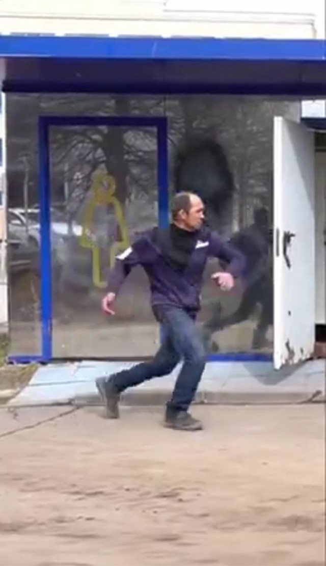 Хрена себе экшен