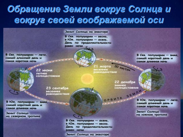 Образование