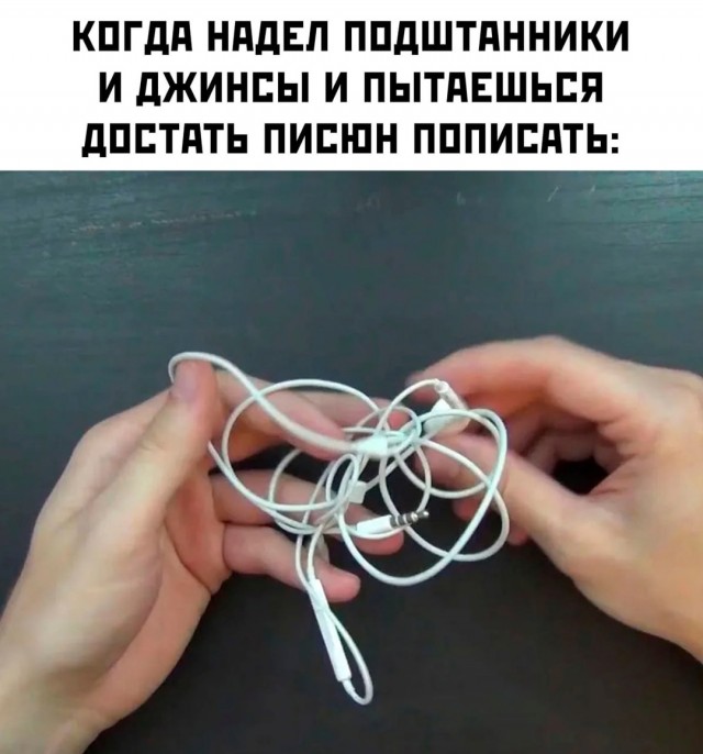 Весёлый полтишок 31.12.24