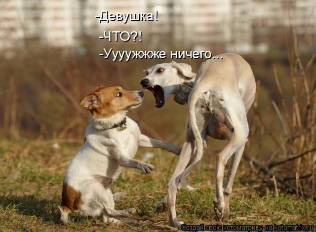 Что-то много грустного стало на Япе, может улыбнет?