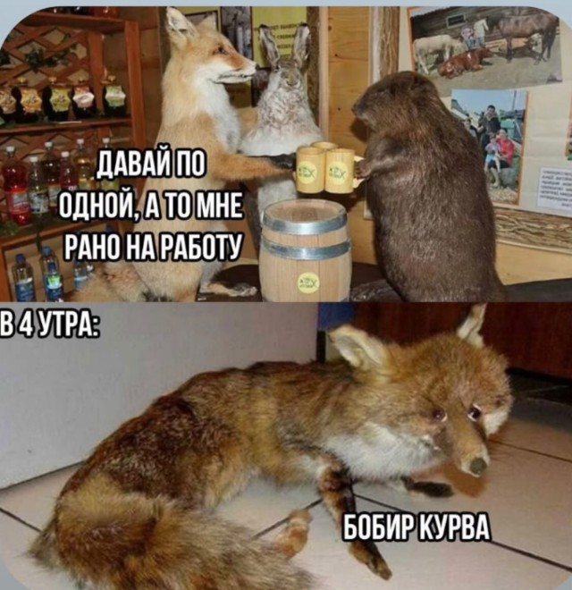 Завалялось тут случайно немного забавных картинок