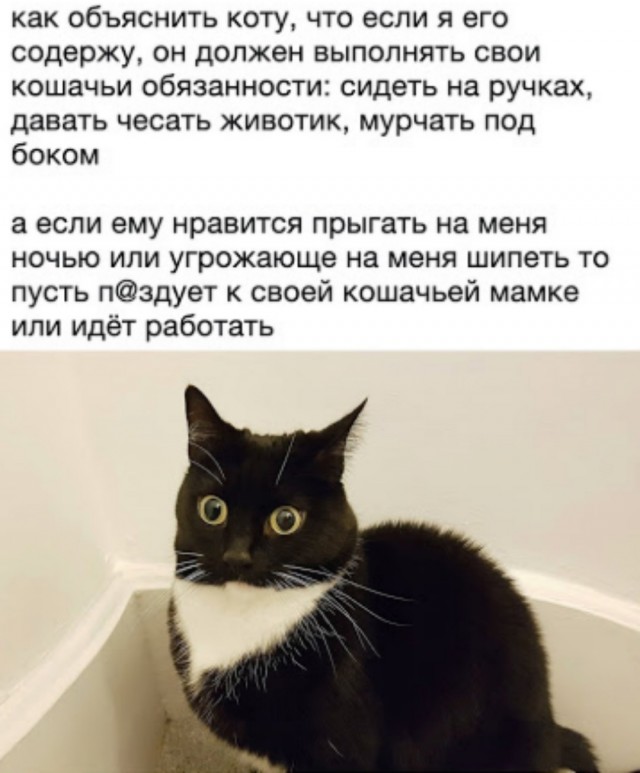 Так себе картинки 06.07.25