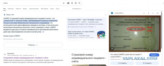 Зумерша расплакалась и довела себя до панической атаки из-за СНИЛСа