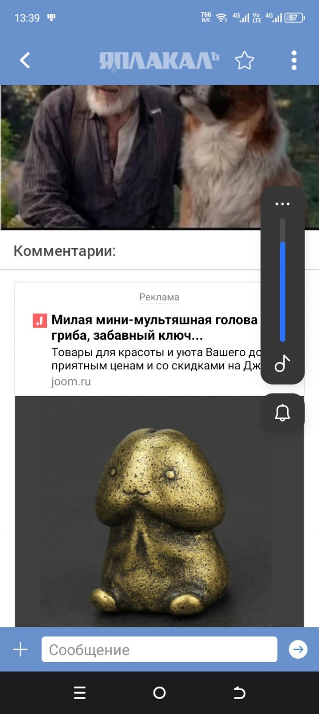 Действие грибов