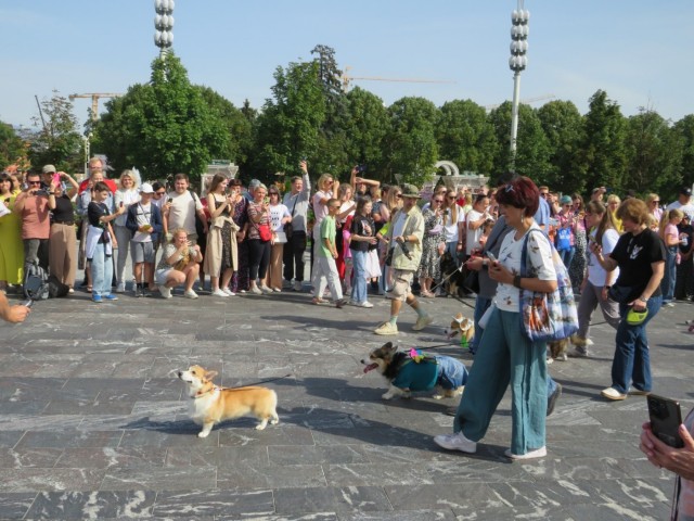 Парад корги в Москве на ВДНХ