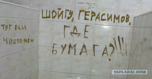 Рулон туалетной бумаги в общественном туалете был истыкан иглами
