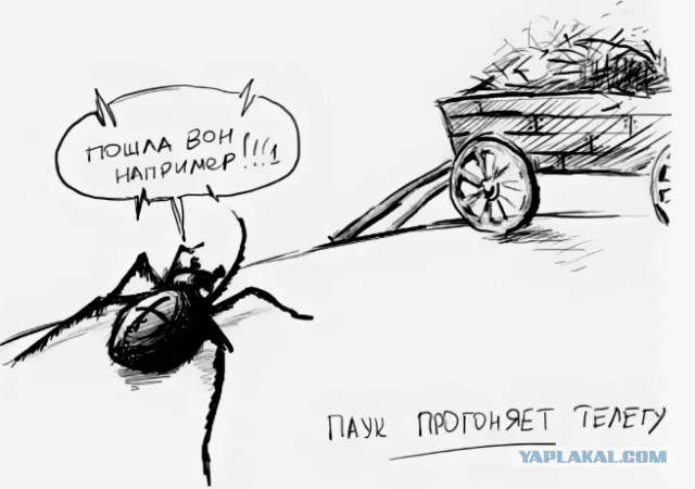 Это что за дурь новая?
