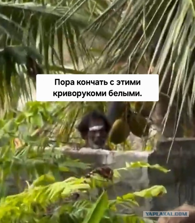 Видео, которое завирусилось в Хвиттере на 40 млн просмотров