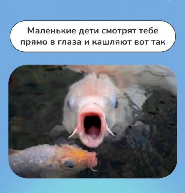 Картиночки, баянчики 19 марта