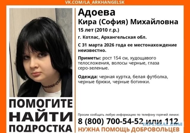 МВД: пропавшую в Котласе девочку в последний раз видели возле лесозавода