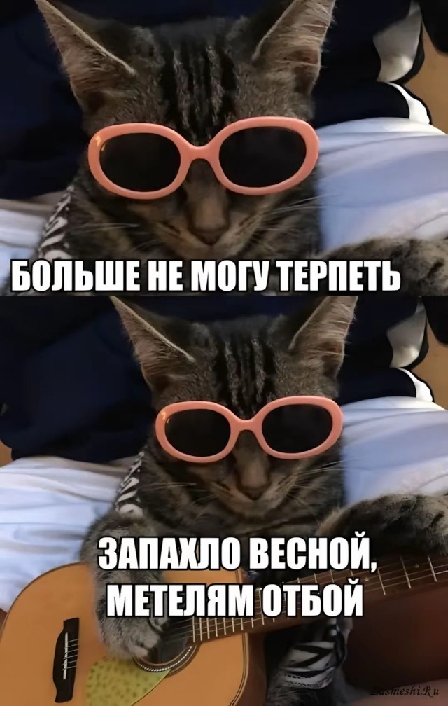 Весна ПРИШЛА!