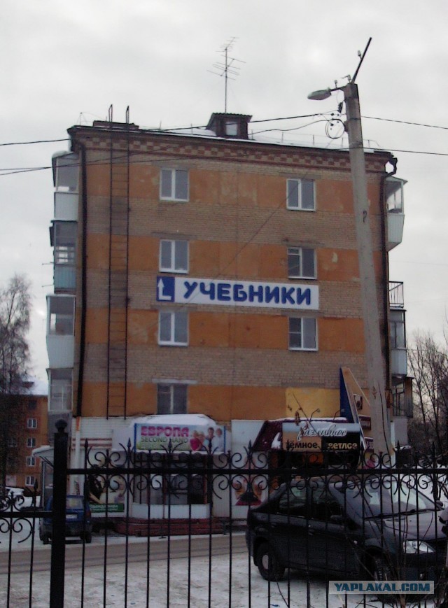 Картинки для деградации 254 (разной степени сежести)