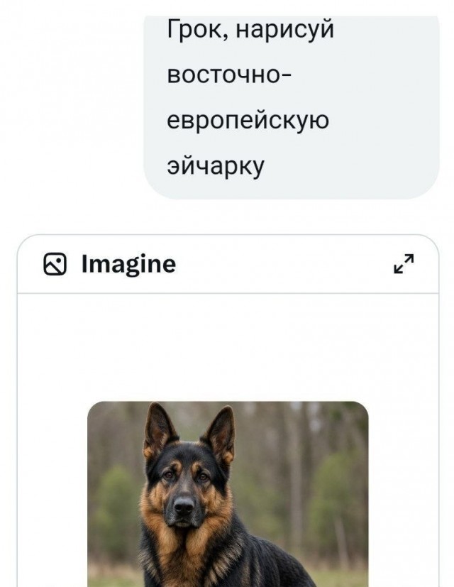 Картинки для деградации 289 (разной степени свежести)