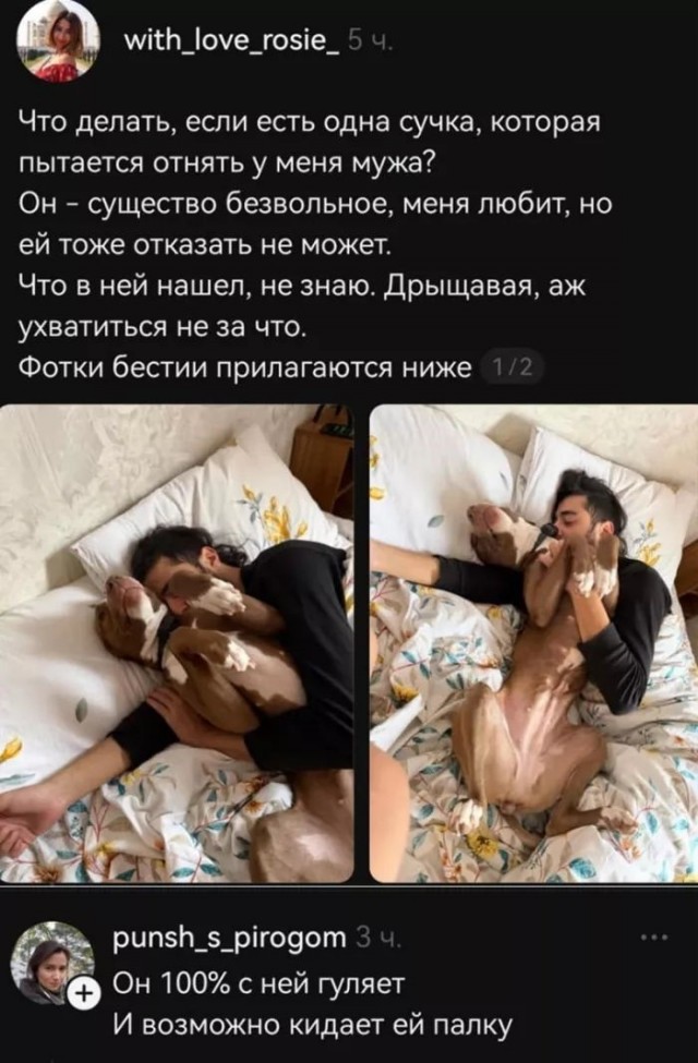 тРРРидцать тРРРи от 22 октября