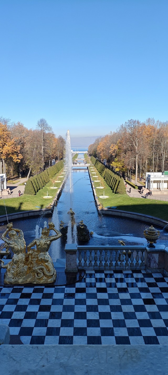 Поймал белку в выходные