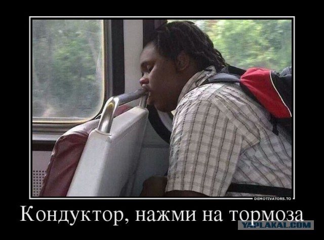 Весёлые картинки. Разбавим будни