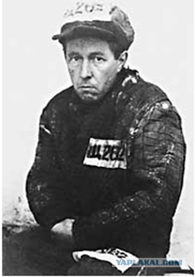 Фильтруй базар