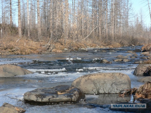Кто и как катается на внедорожниках