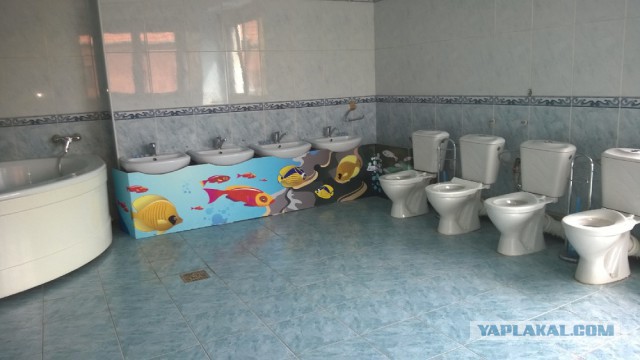 Последнее фото с Вашего телефона.