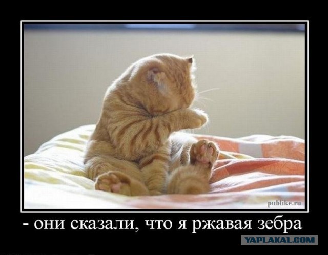 Давно демотиваторов не было