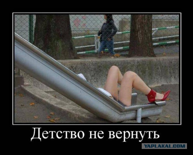 41 веселая картинка