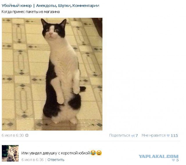 Смешные комментарии из социальных сетей