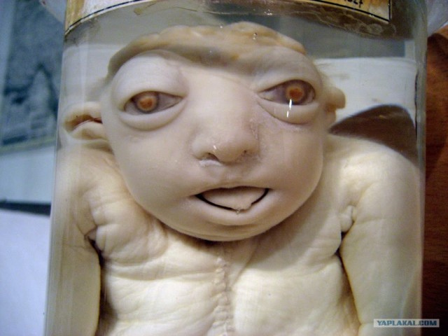 Домашние заготовки