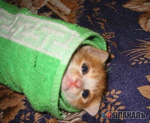 Закатан