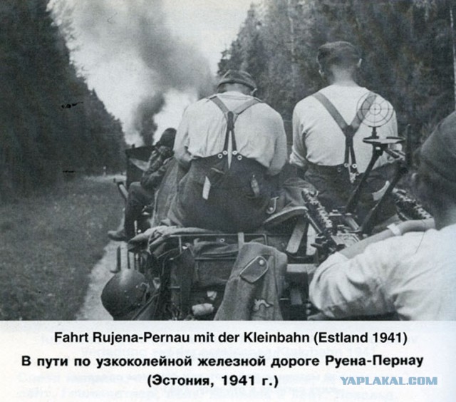 Фото с мест Волховской битвы (Вермахт)